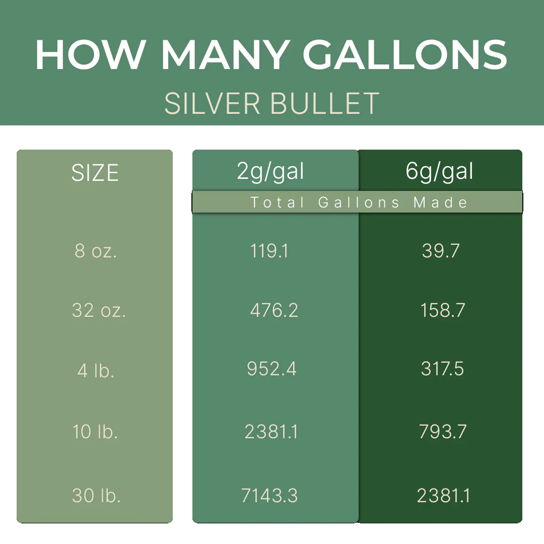 Key To Life - Silver Bullet