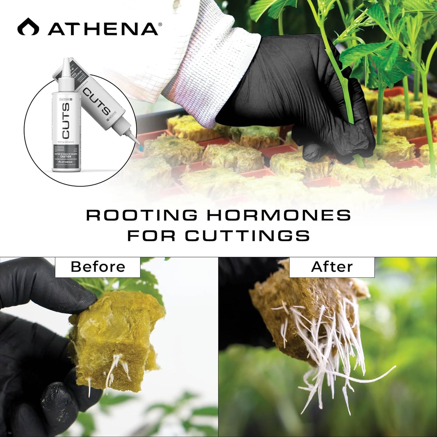 Athena Cuts - Rooting Compound (8 oz)