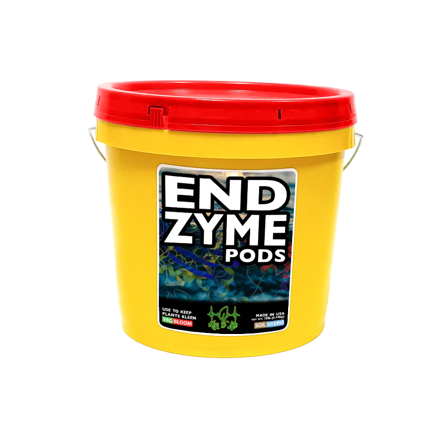 Key To Life - ENDzyme