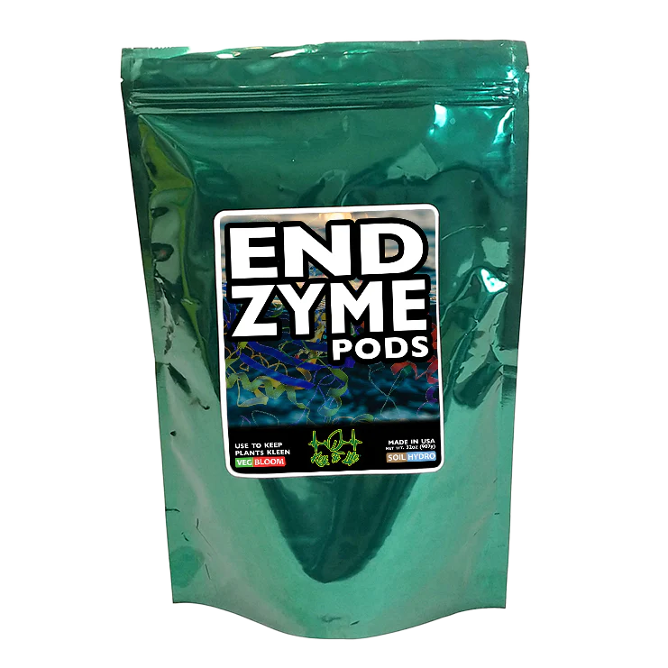 Key To Life - ENDzyme