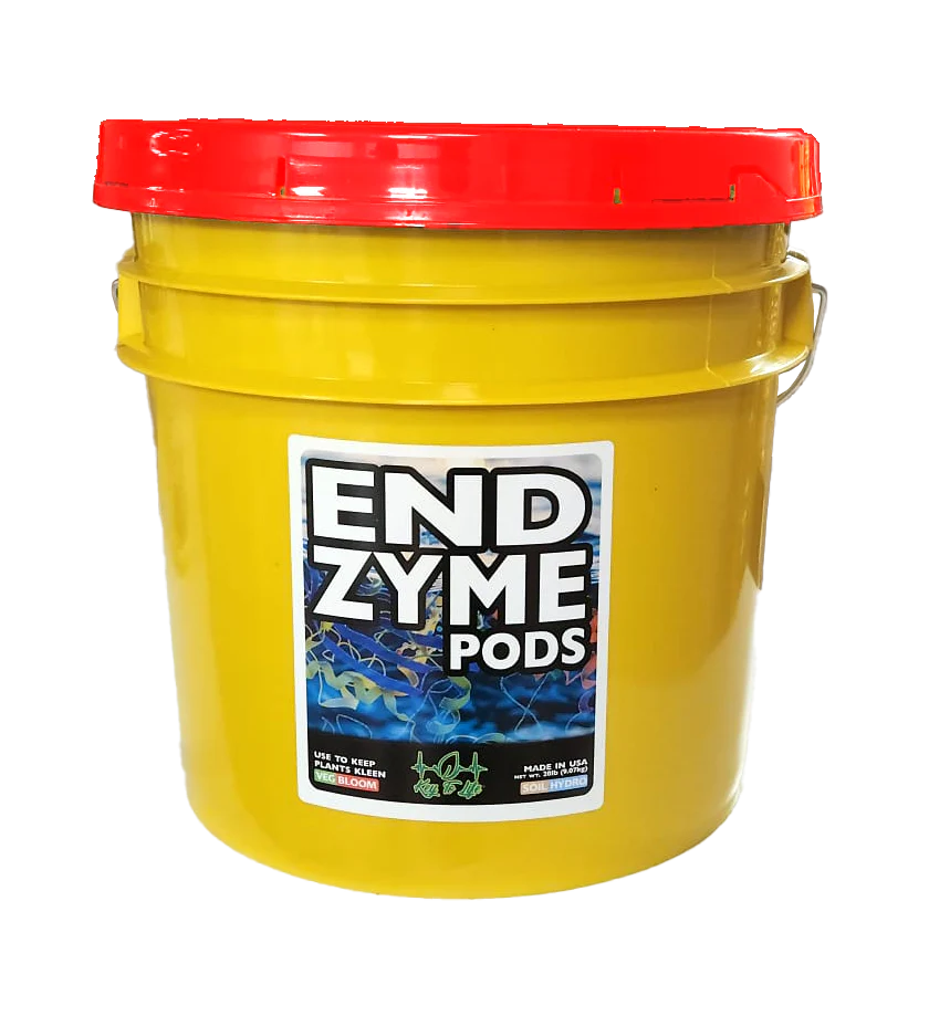 Key To Life - ENDzyme