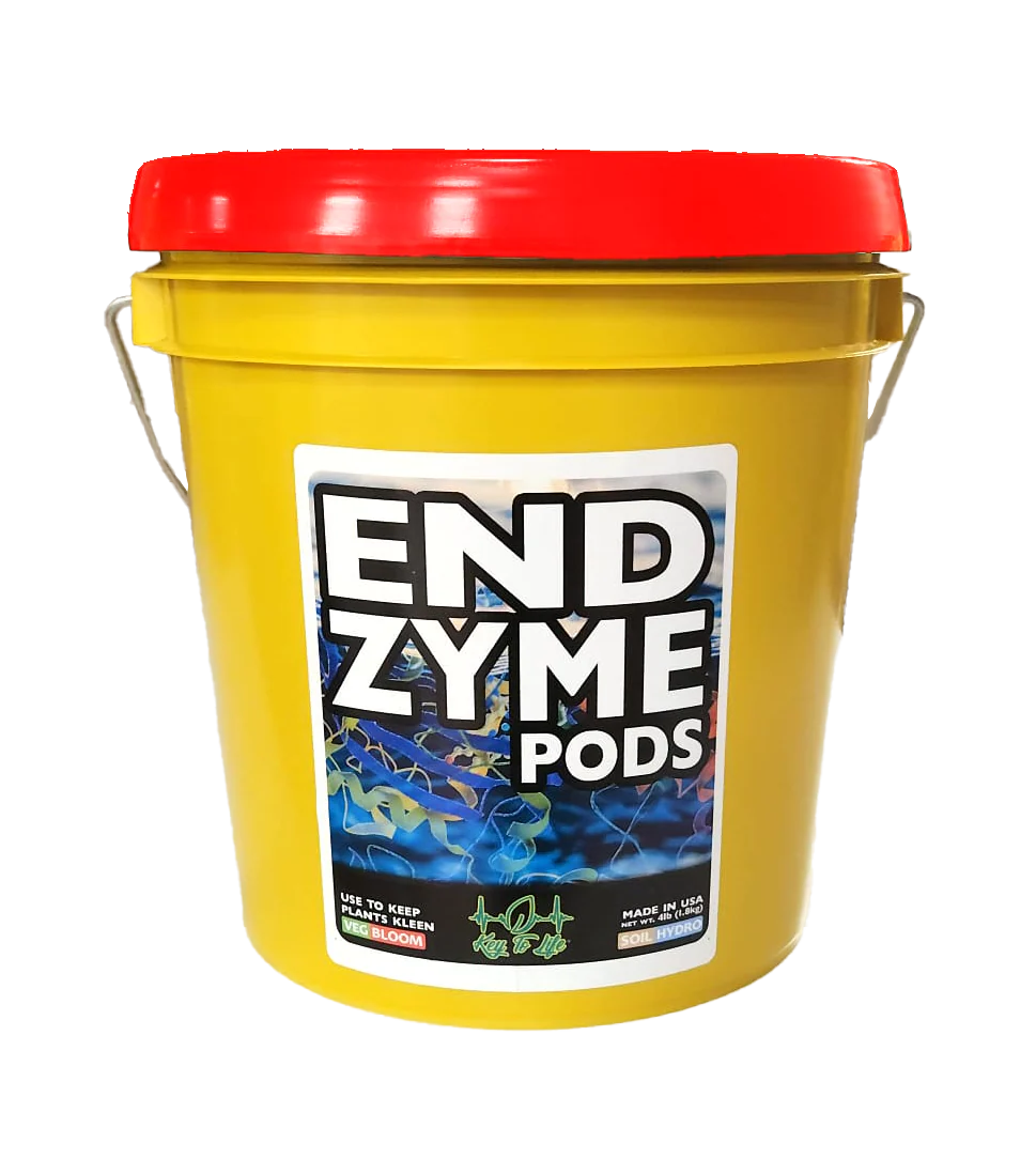Key To Life - ENDzyme