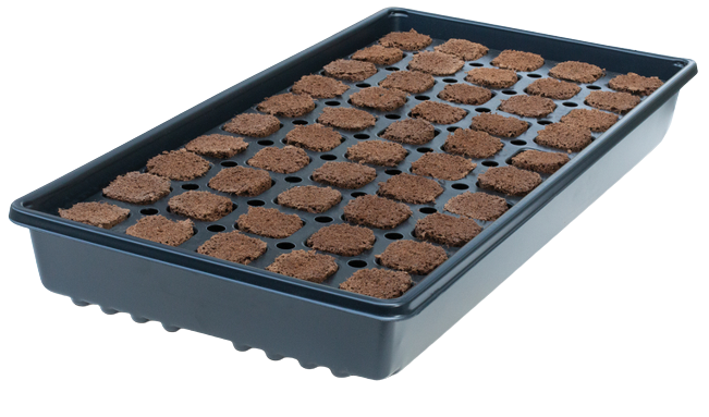 IHORT Q-Plug 40/40, 1.25" x 1.25", 1/8" Dibble, 100 Count