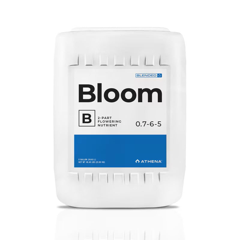 Athena Bloom B - Blended