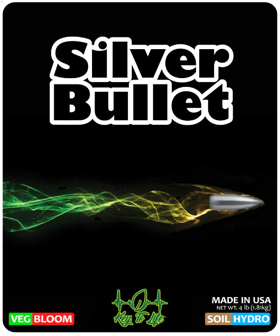 Key To Life - Silver Bullet
