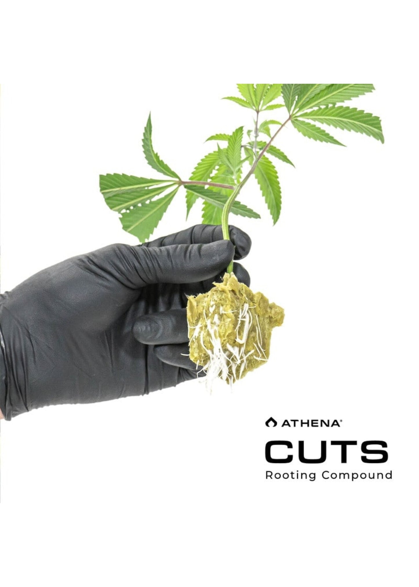 Athena Cuts - Rooting Compound (8 oz)