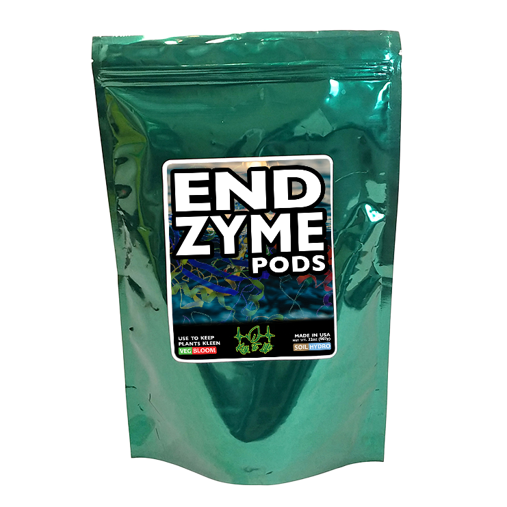 Key To Life - ENDzyme