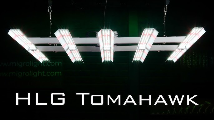 LED Lighting