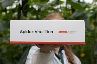 Spidex Vital Plus, Sachets, Phytoseiulus persimilis