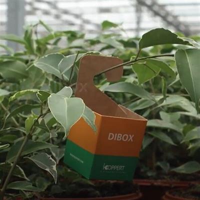 Koppert Dibox, Hanging Cardboard Application Device