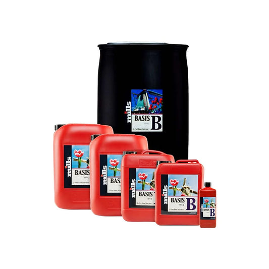 Mills Basis B
