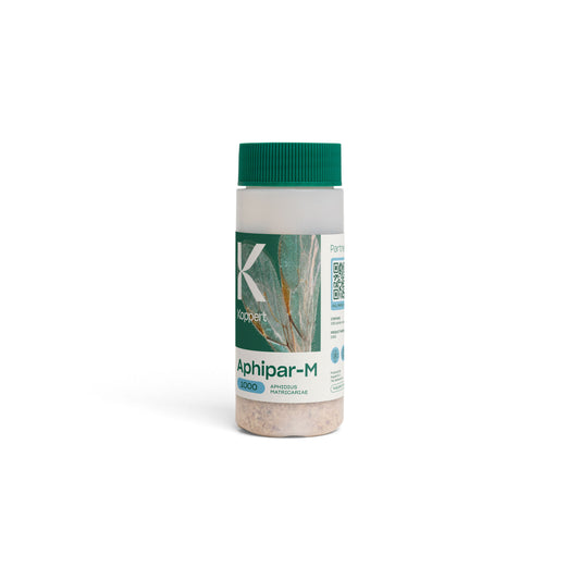 Aphipar-M Bottle, Aphidius matricariae