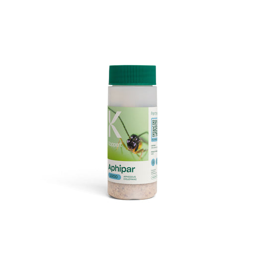 Aphipar Bottle, Aphidius colemani