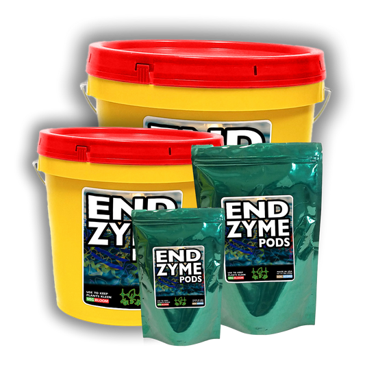 Key To Life - ENDzyme