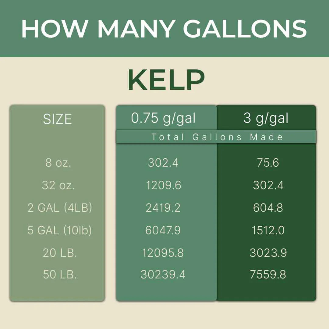Key To Life - Key To Kelp