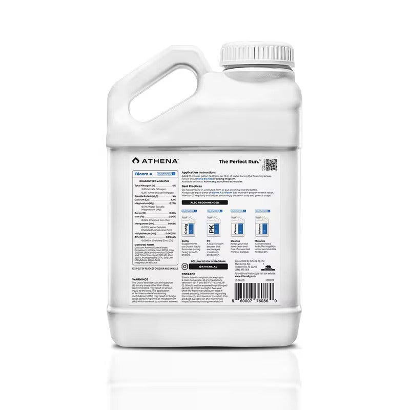 Athena Bloom A - Blended