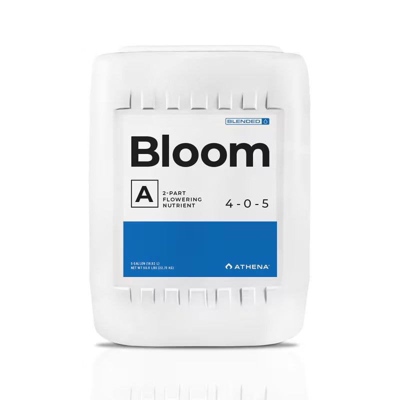 Athena Bloom A - Blended