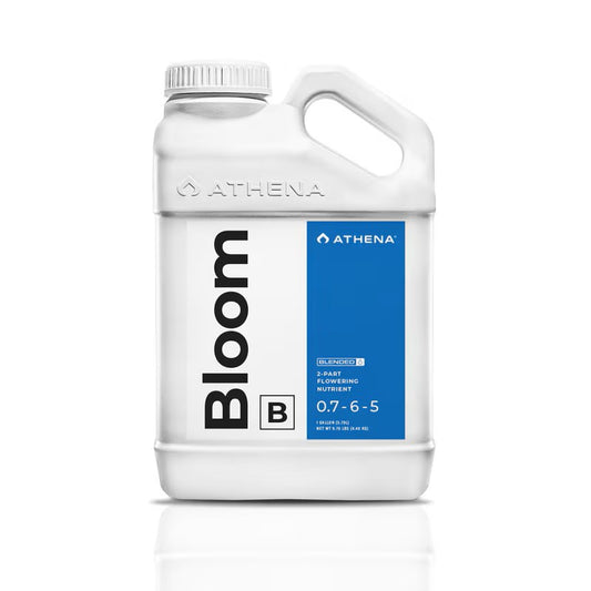 Athena Bloom B - Blended