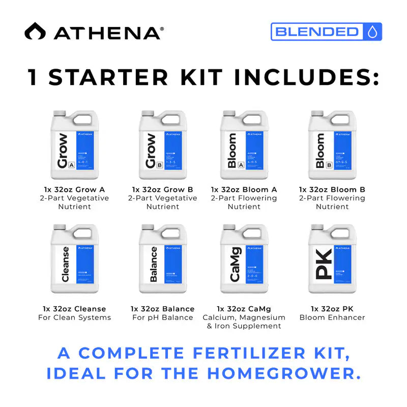 Athena Starter Kit - Blended