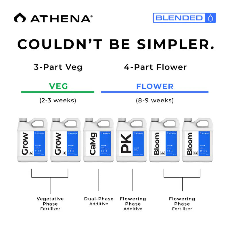 Athena Starter Kit - Blended