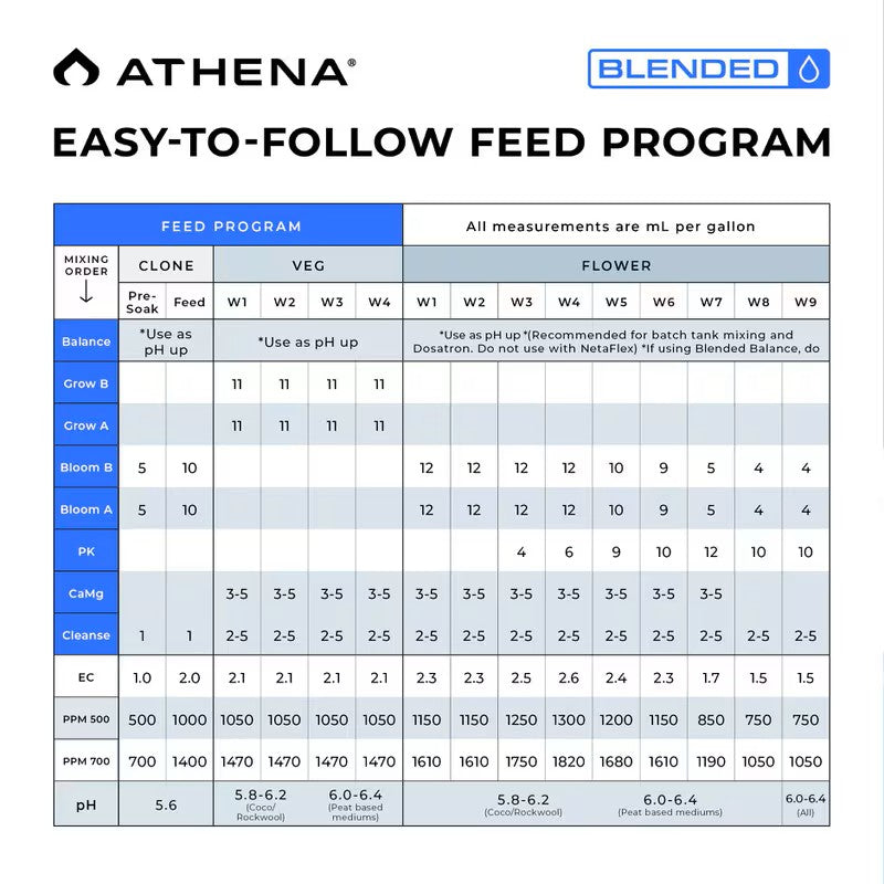 Athena Starter Kit - Blended