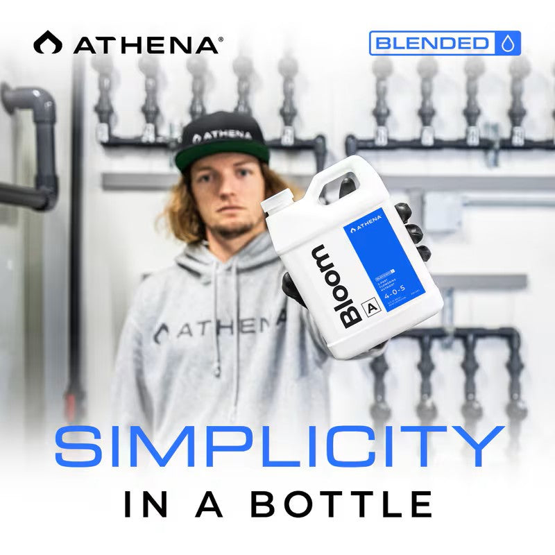 Athena Starter Kit - Blended