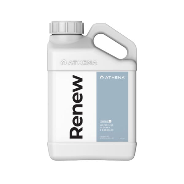Athena Renew - Clean