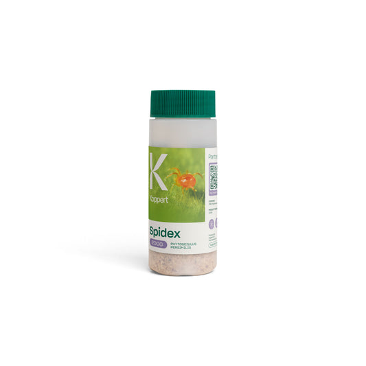 Spidex Vital Bottle, Phytoseiulus persimilis