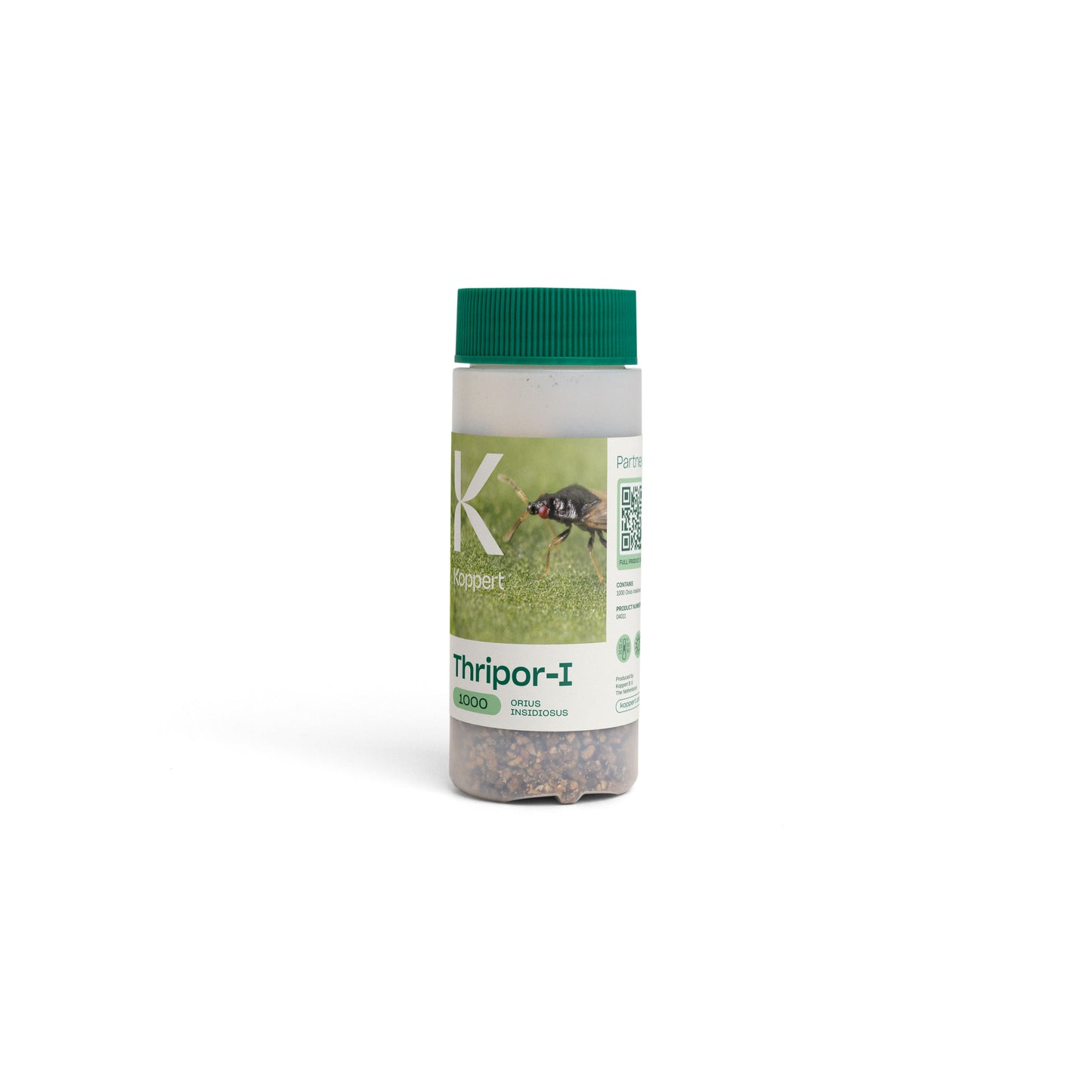 Thripor-I, 1,000 count Bottle, Orius insidiosus