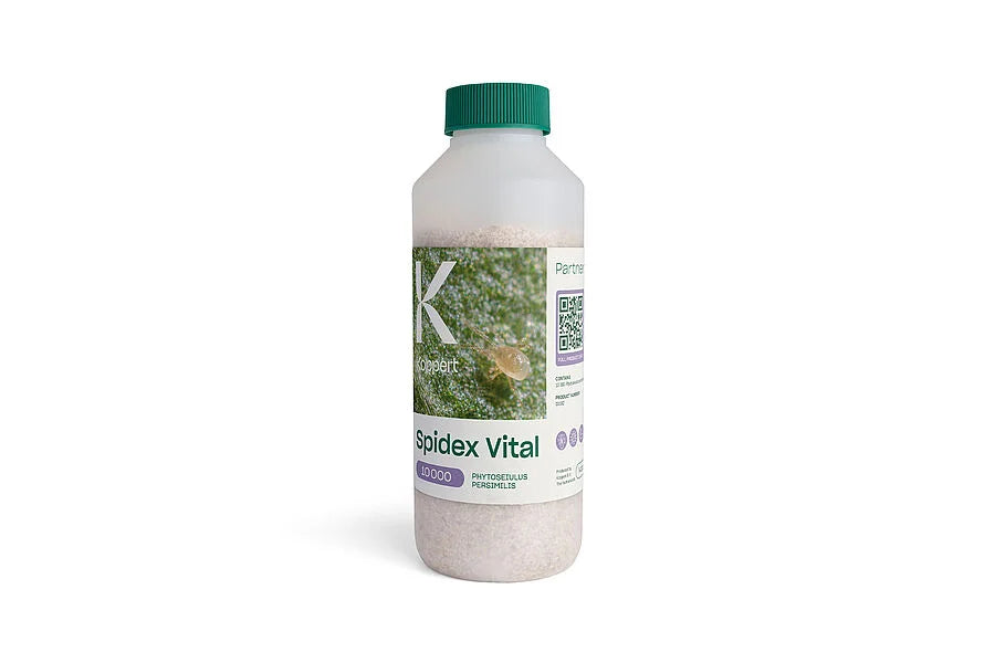 Spidex Vital Bottle, Phytoseiulus persimilis